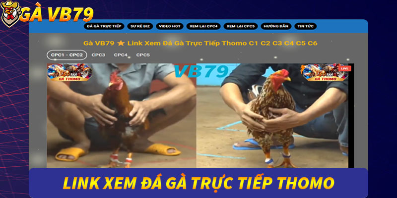 đá gà trực tiếp tại gà vb79