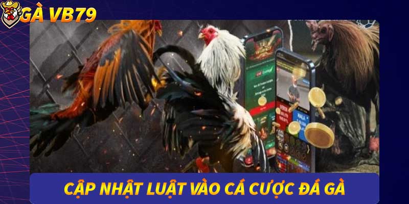 đá gà trực tiếp tại gà vb79