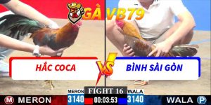Trận 16 CPC3 30/11/2025 - Hắc Coca Gặp Bình Sài Gòn