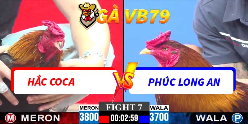 Trận 7 CPC3 30/11/2025 - Hắc CoCa Đụng Độ Phúc Long An