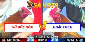 Trận 12 CPC3 30/11/2025 - Vũ Đức Hòa Tái Đấu Hắc Coca